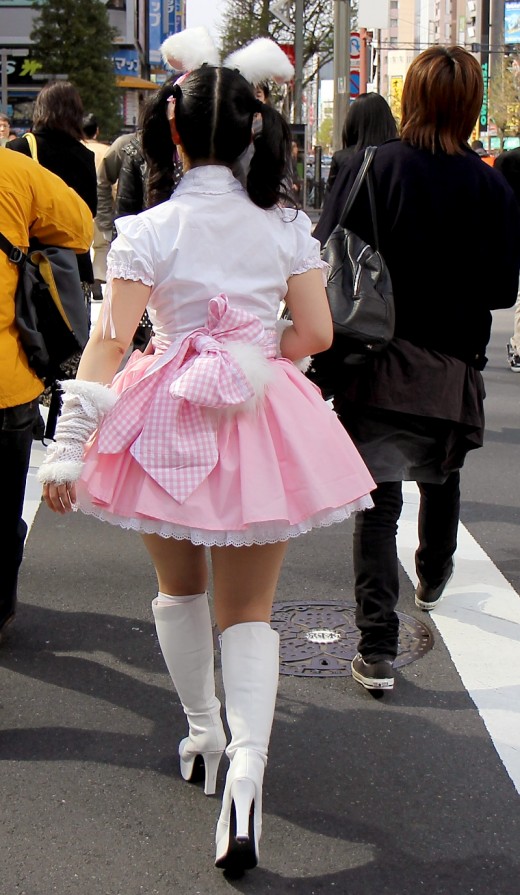 Akihabara is probably the best place in the world to see cute girls dressed as rabbits!