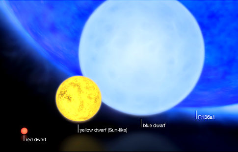 R136a1 Heaviest star in the universe compared with yellow dwarf star, red dwarf star, and blue dwarf star.
