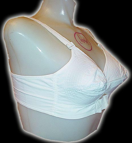 A common bra choice when I began wearing bras - Uugghh!