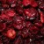 Dried Cranberries Dried Cranberries