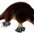 Like many animals, the males are harmless until provoked. Like many animals, the males are harmless until provoked.