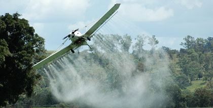 Aerial pesticide spraying is also a routine fact of life. These chemicals are harmful not just to insect pests, but migrant workers sometimes working below.
