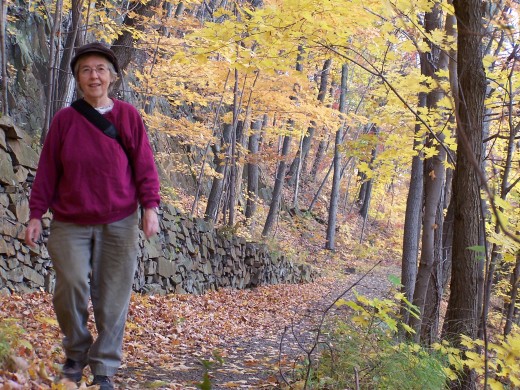 Hiking beside the Wall