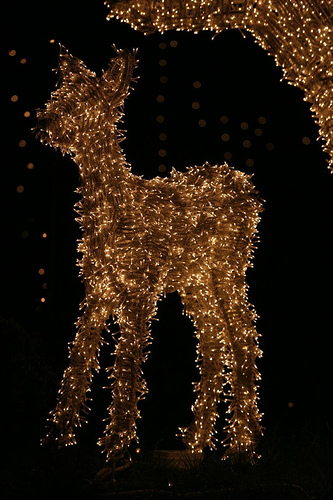 Reindeer christmas lights Picture from flickr