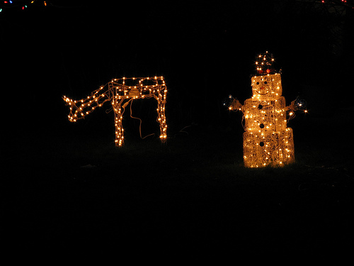Christmas lights From flickr