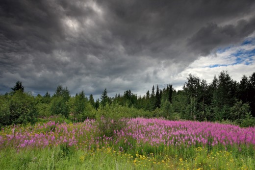 Before the Rain, copyright by Sergey Anisimov