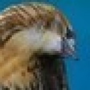 wgregory profile image