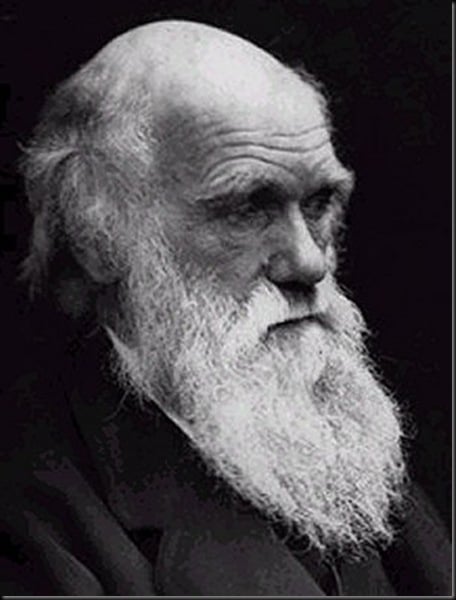 Don't worry Charles (Darwin), nobody's blaming you for all this brouhaha