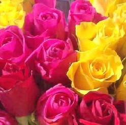 http://s3.hubimg.com/u/3537006_f248.jpg