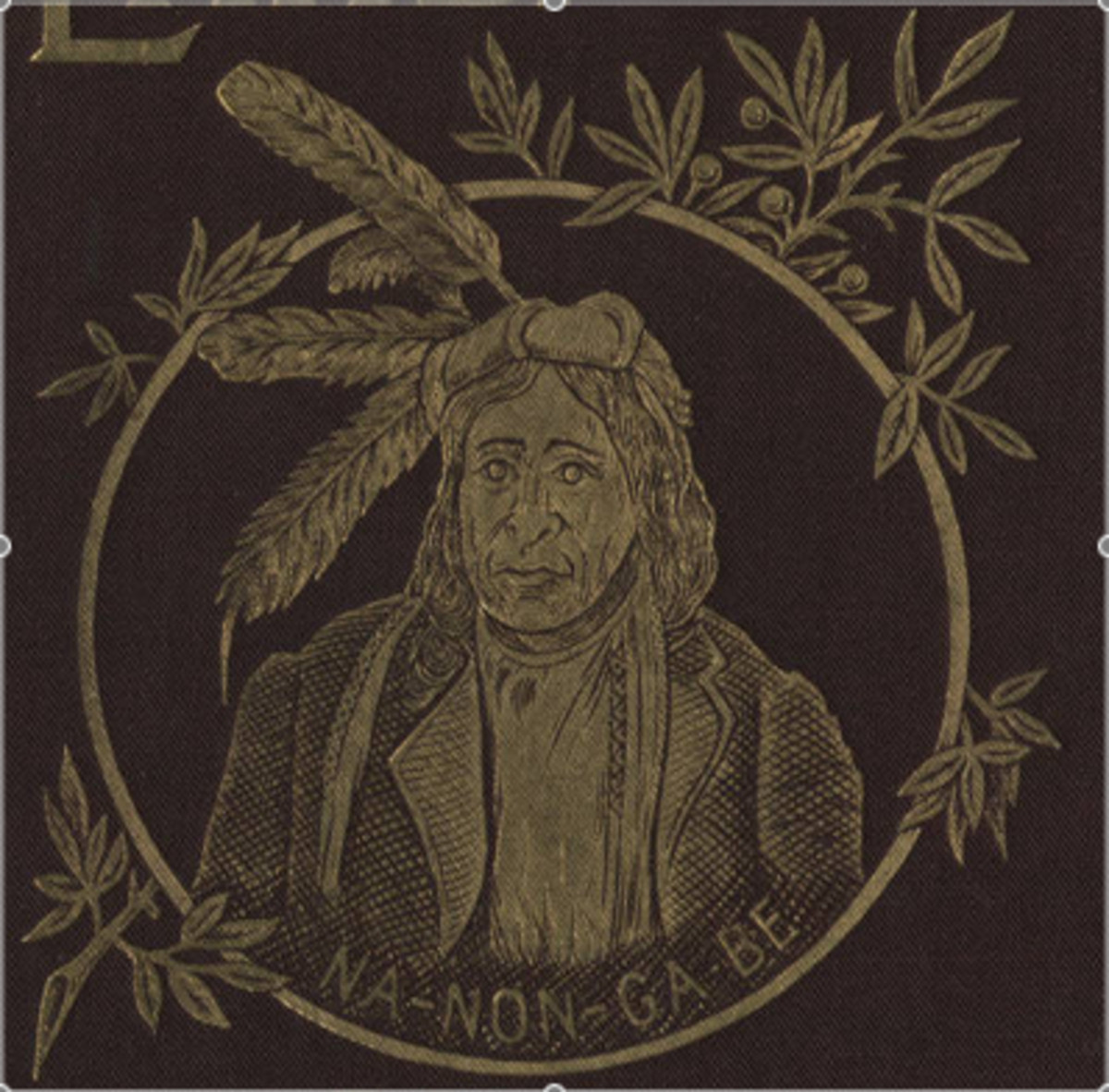 Ojibwe chief Nanongabe, 1891.  