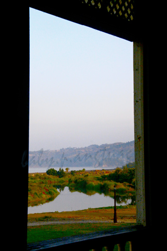 framed by a window