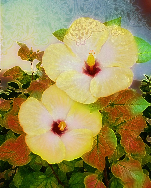 Copyright Elayne Kongaika