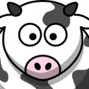 Five One Cows profile image