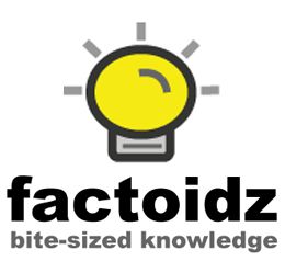 Factoidz: Bite-Sized Knowledge
