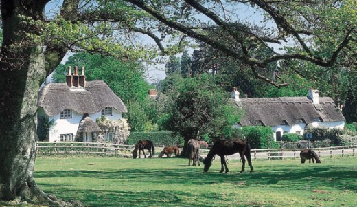 ..ponies...and houses