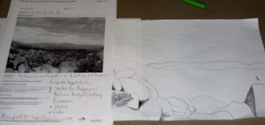 Use a photograph of the desert landscape to begin sketching out the details of the drawing.