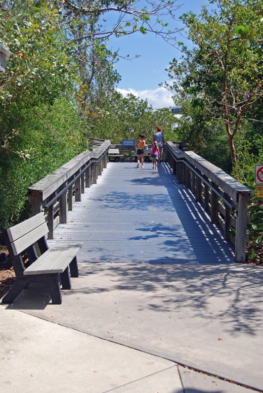 You can enter the preserve by passing over this bridge.