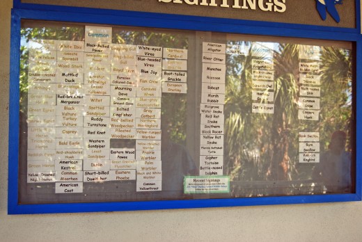 Here is a partial listing of the wildlife seen in this one little part of the island.