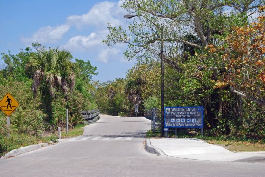 Auto Entrance to the Preserve