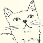 hana86 profile image