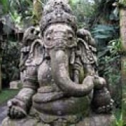 balihq profile image