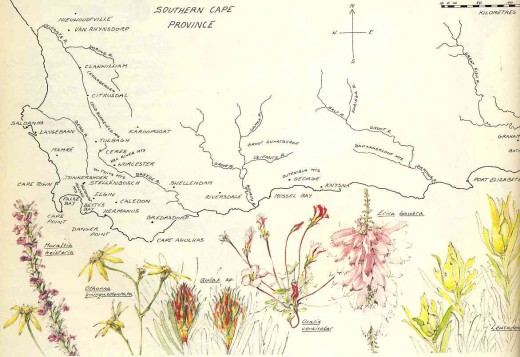 Map of the fynbos area. By Liz McMahon. From "A Fynbos Year" by Liz McMahon and Michael Fraser
