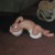 Crawling backwards and on her head!