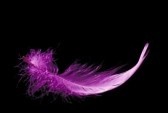 Without this playing with fantasy no creative work has ever yet come to birth. The debt we owe to the play of the imagination is incalculable. Carl Gustav Jung