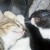 Minnie Ming (the gray one-female) and Battery (black with white accent-male) Minnie Ming (the gray one-female) and Battery (black with white accent-male)