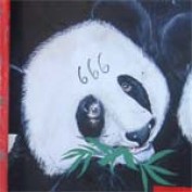 gloom profile image