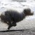 http://www.flickr.com/photos/arcticpuppy/2827134705/sizes/z/in/photostream/ http://www.flickr.com/photos/arcticpuppy/2827134705/sizes/z/in/photostream/