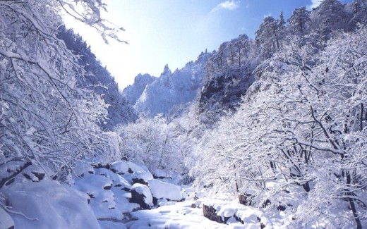 Korean Mountains in Winter