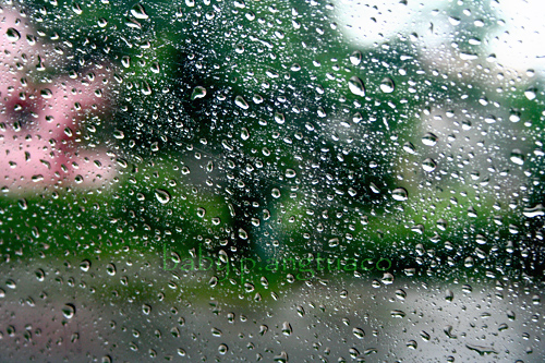 the raindrops from my window pane