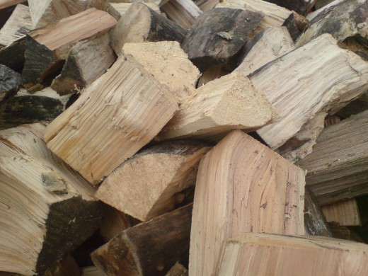 Burning Wood is Environmentally Friendly