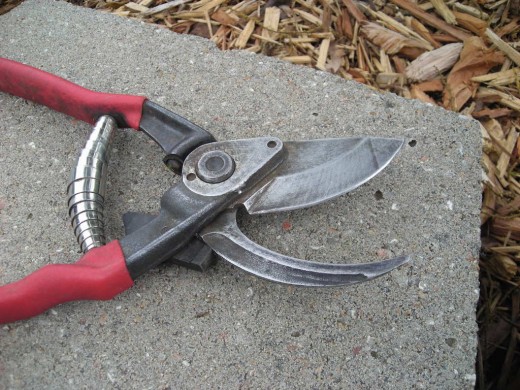 A GOOD CHOICE IN PRUNING SHEARS. 