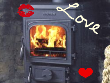 Passionate About Wood Burning Stoves!