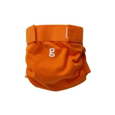The gDiaper hybrid  A cloth diapering alternative.