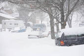 Too cold outside to go anywhere.