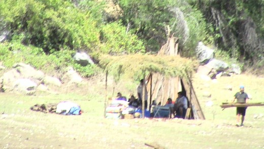 The Wisemen are all around us.