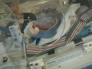 Brionna Levine  1 lb 9oz.