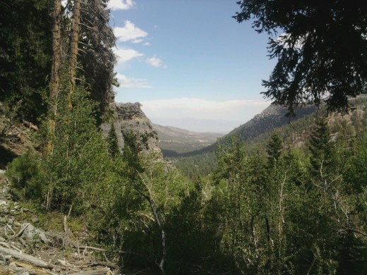 More pictures of Mount Charleston.