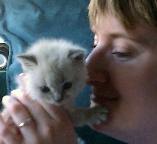 My daughter meets her new fur sibling. It was her fiancee who sat and snuggled her for hours though!