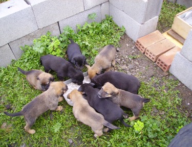 Feeding time!