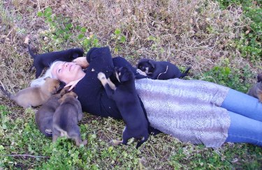 Happiness is a bunch of puppies.