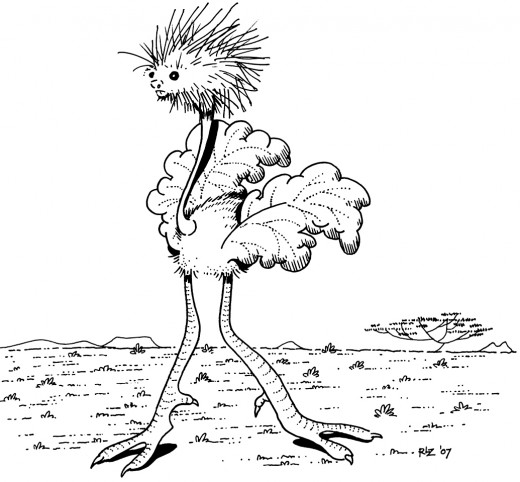 Fruit of an Ostrich-Porcupine Mating, rickzimmerman 2010