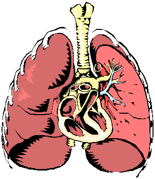 MRSA can cause pneumonia if given the opportunity - more commonly in hospitalized patients. 