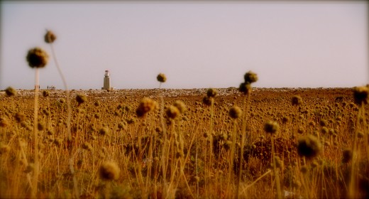 lighthouse in the distance, on the edge of Sagres point