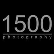 stuart wood profile image