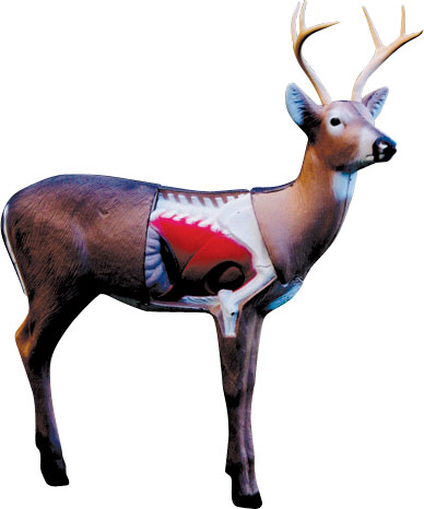 You want to practice until you can put your crossbow bolts in the red part of the deer on the deer target above. 
