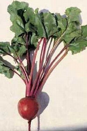 Beet is healthy, healthy, healthy in many ways!